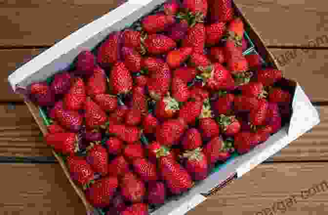 A Basket Of Fresh, Organic Strawberries Organic By Choice: The (Secret) Rebel S Guide To Backyard Gardening: Grow Your Own Organic Food With This Gardening Guide