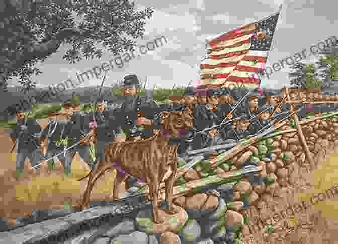 A Dog In The Civil War Animal Histories Of The Civil War Era (Conflicting Worlds: New Dimensions Of The American Civil War)