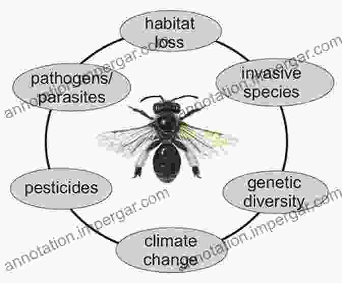 A Dying Bee, A Somber Reminder Of The Threats Facing These Creatures A Buzz In The Meadow: The Natural History Of A French Farm