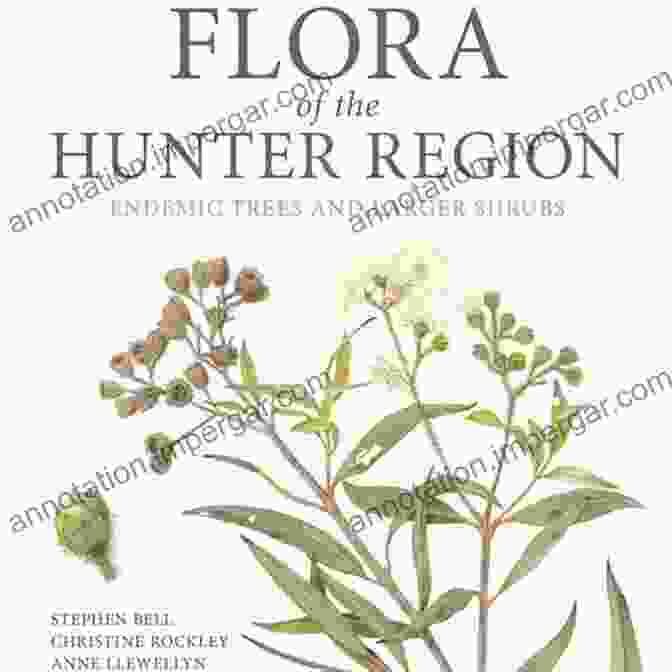 A Vibrant Photograph Of The Book 'Flora Of The Hunter Region,' Featuring An Array Of Native Wildflowers On Its Cover Flora Of The Hunter Region: Endemic Trees And Larger Shrubs