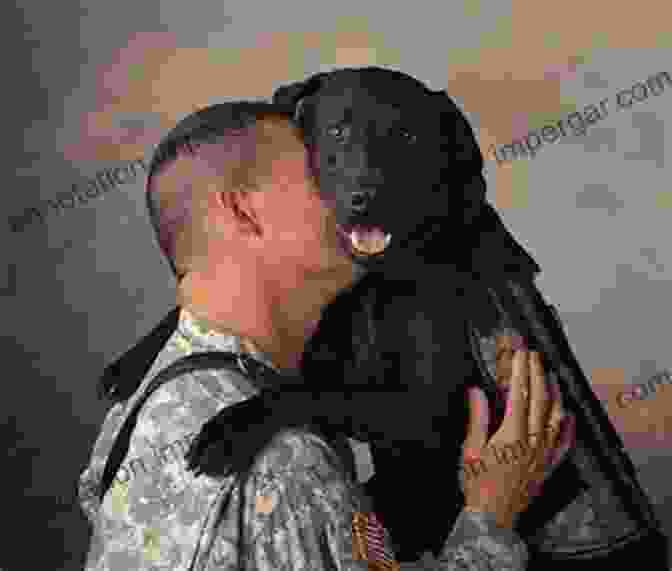 A Wounded Warrior Hugging His Therapy Dog Vets And Pets: Wounded Warriors And The Animals That Help Them Heal