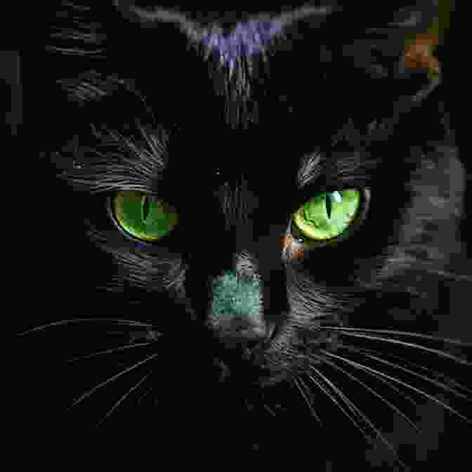 Artistic Portrait Of A Black Cat With Piercing Green Eyes, Gazing Out Of The Frame With An Air Of Mystery And Allure Cats: A Portrait In Pictures And Words