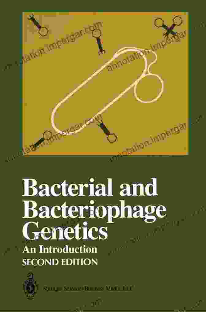 Bacterial And Bacteriophage Genetics Book Cover Bacterial And Bacteriophage Genetics Edward A Birge