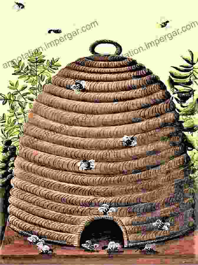 Beehive Surrounded By Lush Vegetation Beekeeping For Beginners: A Simple Guide For Learning How To Set Up Maintain A Beehive In Your Own Backyard (Beekeeping Homesteading Gardening Hives Honey)