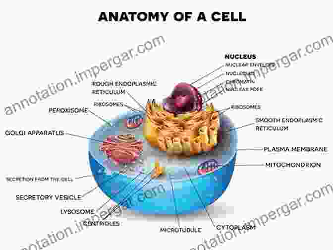 Biochemical Processes Within A Cell Clinical Biochemistry: Contemporary Theories And Techniques