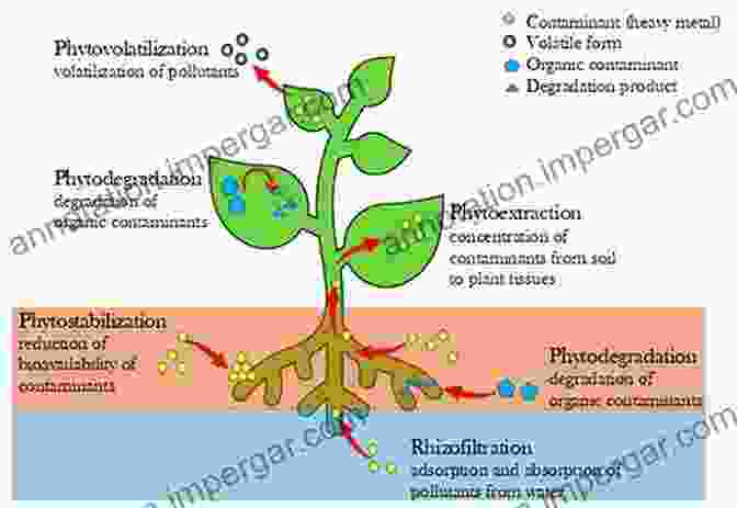 Bioremediation Techniques For Pollutant Removal Reviews Of Environmental Contamination And Toxicology Volume 223