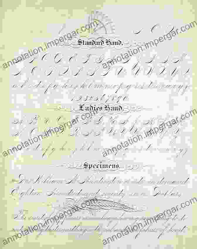 Book Cover Of Handwriting Of The Twentieth Century, Featuring Various Handwritten Samples Handwriting Of The Twentieth Century