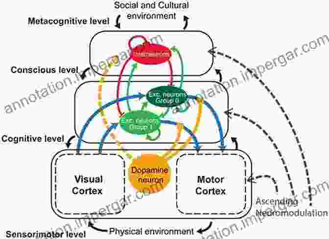 Diagram Depicting The Interplay Between Deep History And Human Cognition On Deep History And The Brain