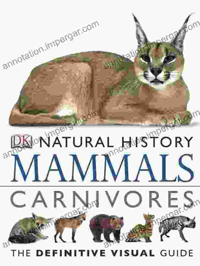 DK Natural History Mammals Carnivores Book Cover DK Natural History Mammals Carnivores: The Definitive Visual Guide (Smithsonian)