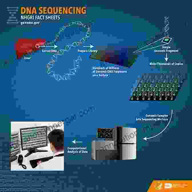 DNA Sequencing For Molecular Diagnostics Clinical Biochemistry: Contemporary Theories And Techniques