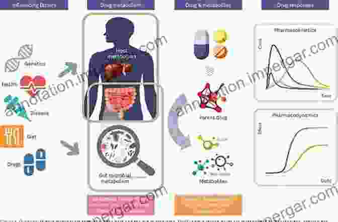 Drug Metabolism Clinical Applications Drug Metabolism: Current Concepts Daniel Hillel