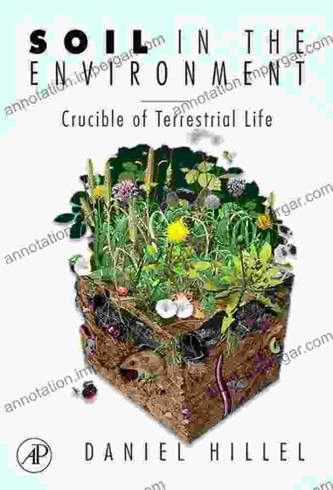 Drug Metabolism Enzymes Drug Metabolism: Current Concepts Daniel Hillel