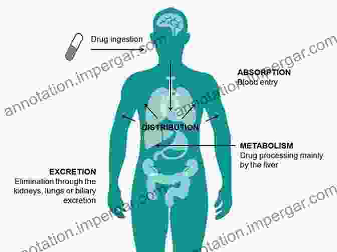 Drug Metabolism Future Directions Drug Metabolism: Current Concepts Daniel Hillel