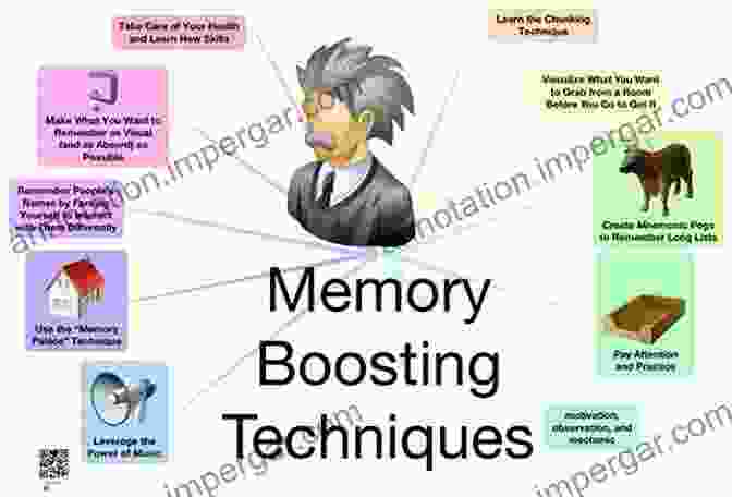 Engaging Diagram Showcasing Various Memory Techniques A Tattoo On My Brain: A Neurologist S Personal Battle Against Alzheimer S Disease