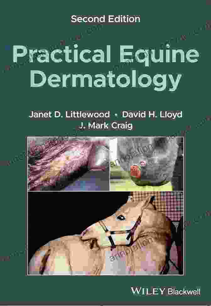 Equine Dermatology Book Cover Equine Dermatology E Danny W Scott