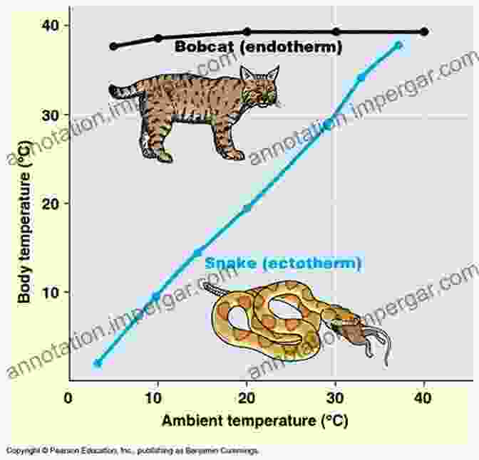 Graph Depicting The Relationship Between Environmental Temperature And The Body Temperature Of An Ectothermic Organism (e.g., Reptile). Soil And Water: Physical Principles And Processes (Physiological Ecology)