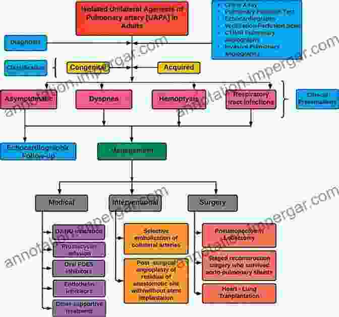 Image Of A Doctor Analyzing A Differential Diagnosis Chart Personality DisFree Downloads And Older Adults: Diagnosis Assessment And Treatment