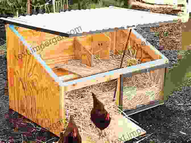 Image Of A Well Designed Chicken Coop With Ample Space And Ventilation Raising Happy Backyard Chickens: The Plans For The Chicken Raising