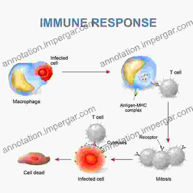 Image Of Immune Response Immunology: A Comprehensive Review Darla J Wise