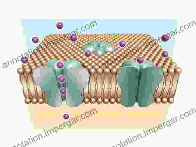 Image Of Ion Channels In A Cell Membrane Novel Therapeutic Approaches To The Treatment Of Parkinson S Disease: An Overview And Update (Topics In Medicinal Chemistry 18)