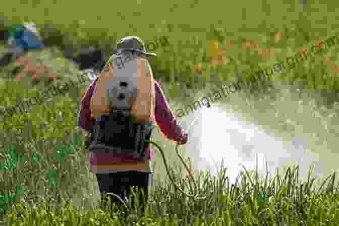 Image Of Nanoagroceuticals Being Sprayed On Crops, Resulting In Increased Yields NanoAgroceuticals NanoPhytoChemicals David M Whitacre