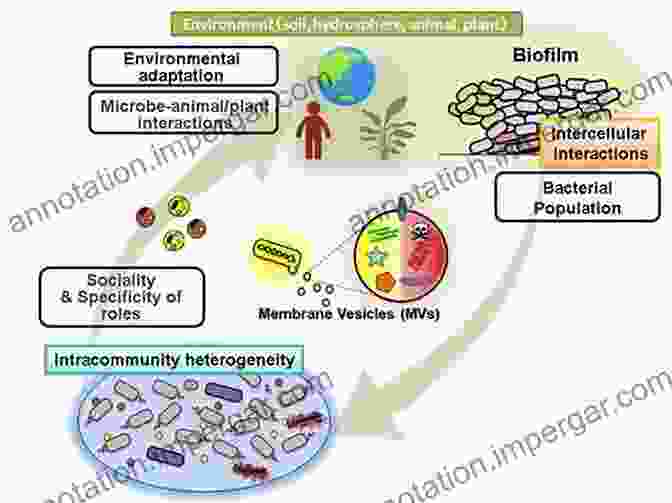 Microbial Interactions In An Ecosystem Processes In Microbial Ecology David L Kirchman