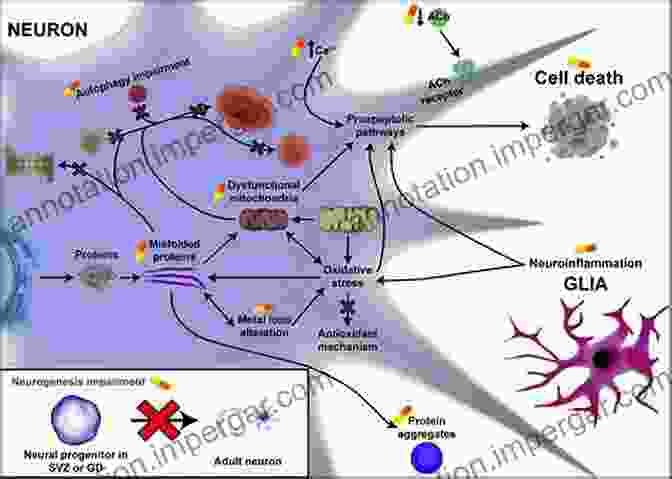 Novel Drug Targets For Alzheimer's Disease Frontiers In Clinical Drug Research Alzheimer DisFree Downloads Volume 6