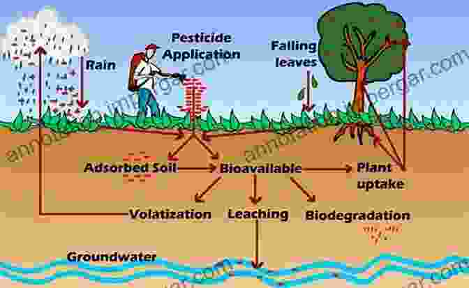 Persistent Organic Pollutants (POPs) Contaminate The Environment And Accumulate In The Food Chain. Reviews Of Environmental Contamination And Toxicology Volume 225 (Reviews Of Environmental Contamination And Toxicology 225)