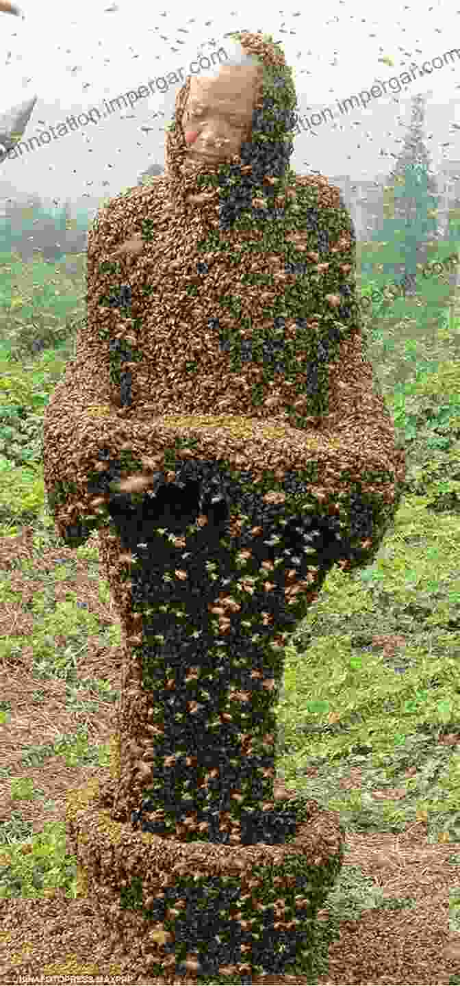 Person Carefully Installing Bees Into A Hive Beekeeping For Beginners: A Simple Guide For Learning How To Set Up Maintain A Beehive In Your Own Backyard (Beekeeping Homesteading Gardening Hives Honey)