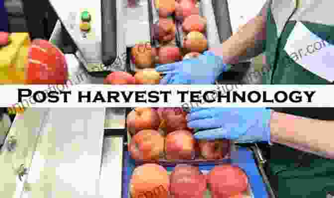 Postharvest Technology Innovations For Extending Fruit And Vegetable Shelf Life Advances In Postharvest Fruit And Vegetable Technology (Contemporary Food Engineering)