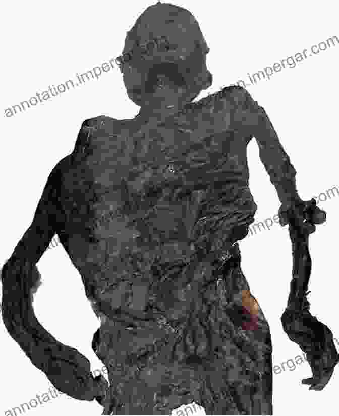 Preserved Bog Body With Visible Facial Features And Clothing Bog Bodies Uncovered: Solving Europe S Ancient Mystery