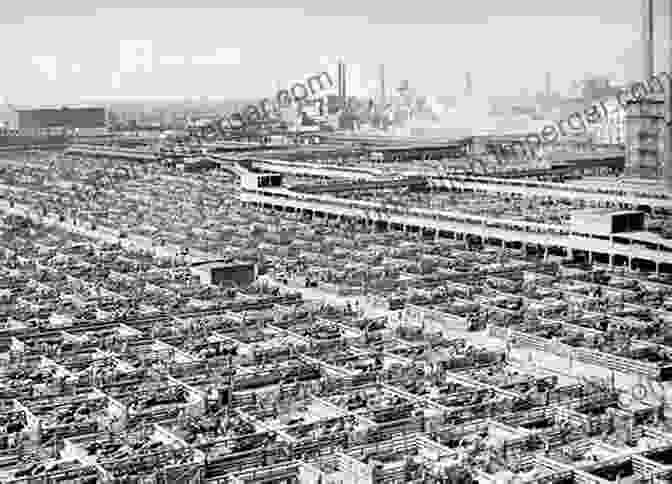 The Chicago Stockyards, A Major Center For The Processing And Distribution Of Whale Oil The Last Voyage Of The Whaling Bark Progress: New Bedford Chicago And The Twilight Of An Industry