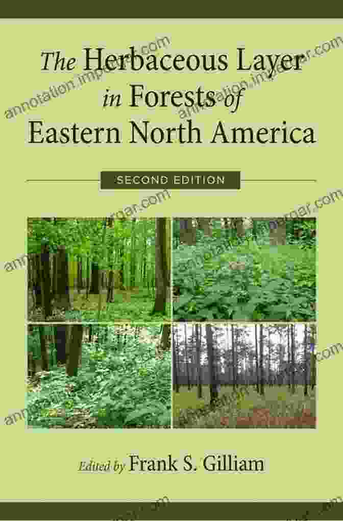 The Herbaceous Layer In Forests Of Eastern North America Book Cover Featuring A Vibrant Array Of Wildflowers The Herbaceous Layer In Forests Of Eastern North America