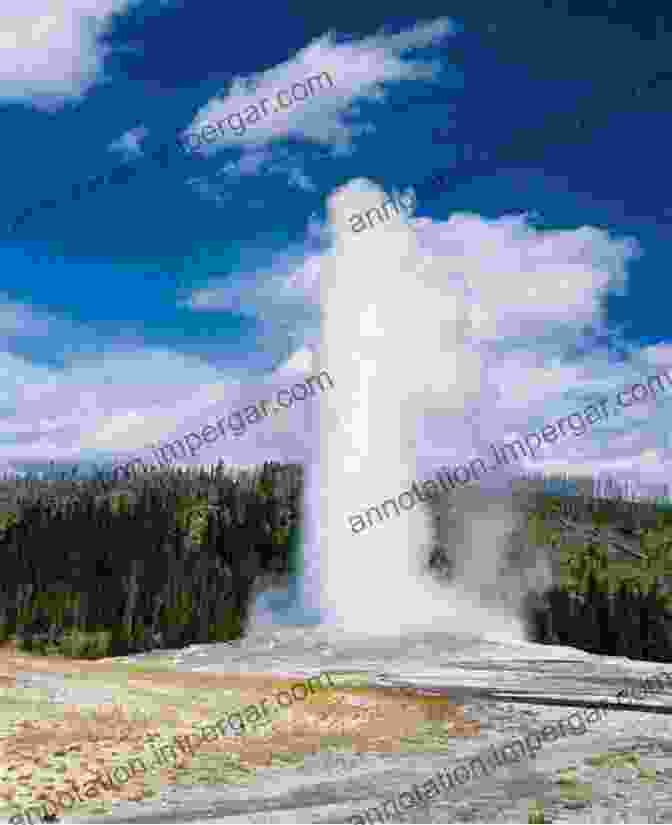 The Iconic Old Faithful Geyser In All Its Glory. Yellowstone National Park: Yellowstone National Park In Photographs