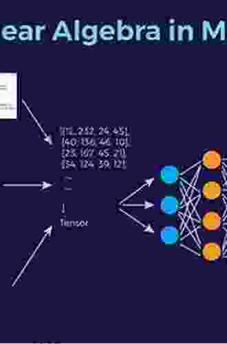 Discrete Fourier And Wavelet Transforms: An Introduction Through Linear Algebra With Applications To Signal Processing