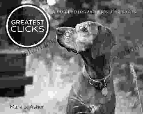 Greatest Clicks: A Dog Photographer S Best Shots