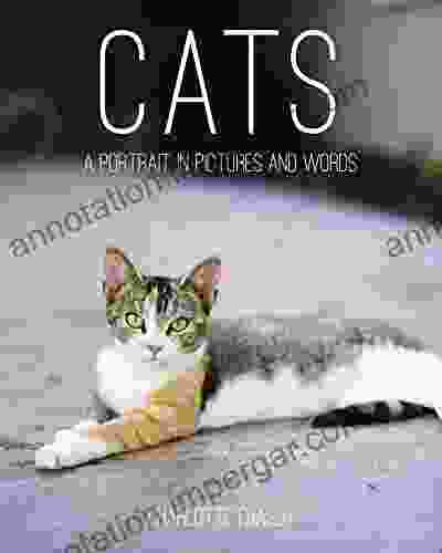 Cats: A Portrait In Pictures And Words