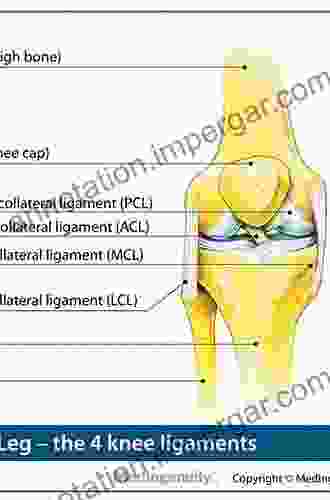 Clinical Anatomy Of The Knee: An Atlas