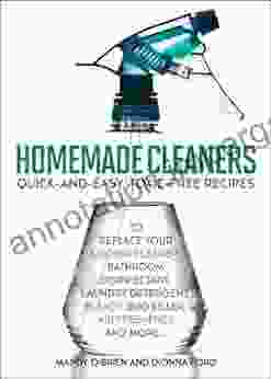 Homemade Cleaners: Quick And Easy Toxin Free Recipes To Replace Your Kitchen Cleaner Bathroom Disinfectant Laundry Detergent Bleach Bug Killer Air Freshener And More