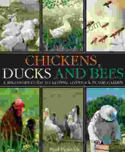 Chickens Ducks And Bees: A Beginner S Guide To Keeping Livestock In The Garden