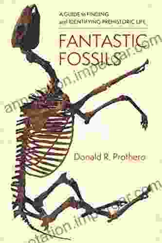 Fantastic Fossils: A Guide To Finding And Identifying Prehistoric Life