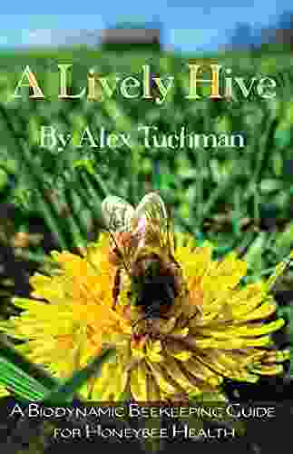 A Lively Hive: A Biodynamic Beekeeping Guide for Honeybee Health