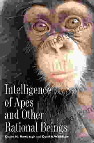 Intelligence Of Apes And Other Rational Beings (Current Perspectives In Psychology)