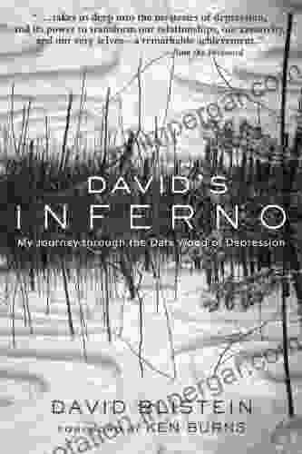 David S Inferno: My Journey Through The Dark Wood Of Depression