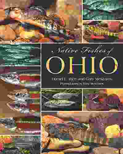 Native Fishes Of Ohio Daniel L Rice