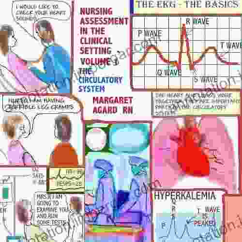 Nursing Assessment In The Clinical Setting Volume 1 The Circulatory System