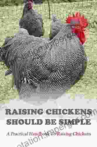 Raising Chickens Should Be Simple: A Practical Handbook To Raising Chickens