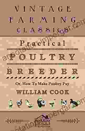 Practical Poultry Breeder Or How To Make Poultry Pay