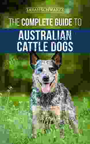 The Complete Guide To Australian Cattle Dogs: Finding Training Feeding Exercising And Keeping Your ACD Active Stimulated And Happy