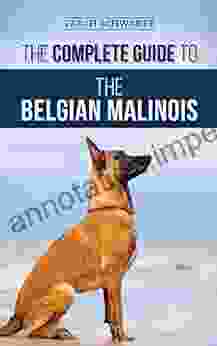 The Complete Guide To The Belgian Malinois: Selecting Training Socializing Working Feeding And Loving Your New Malinois Puppy